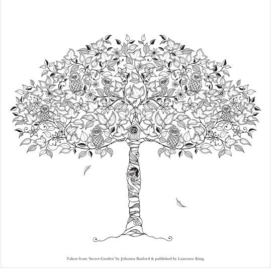 Adult Colouring Books