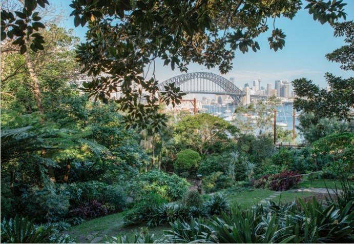 Wendy Whiteley’s Secret Garden